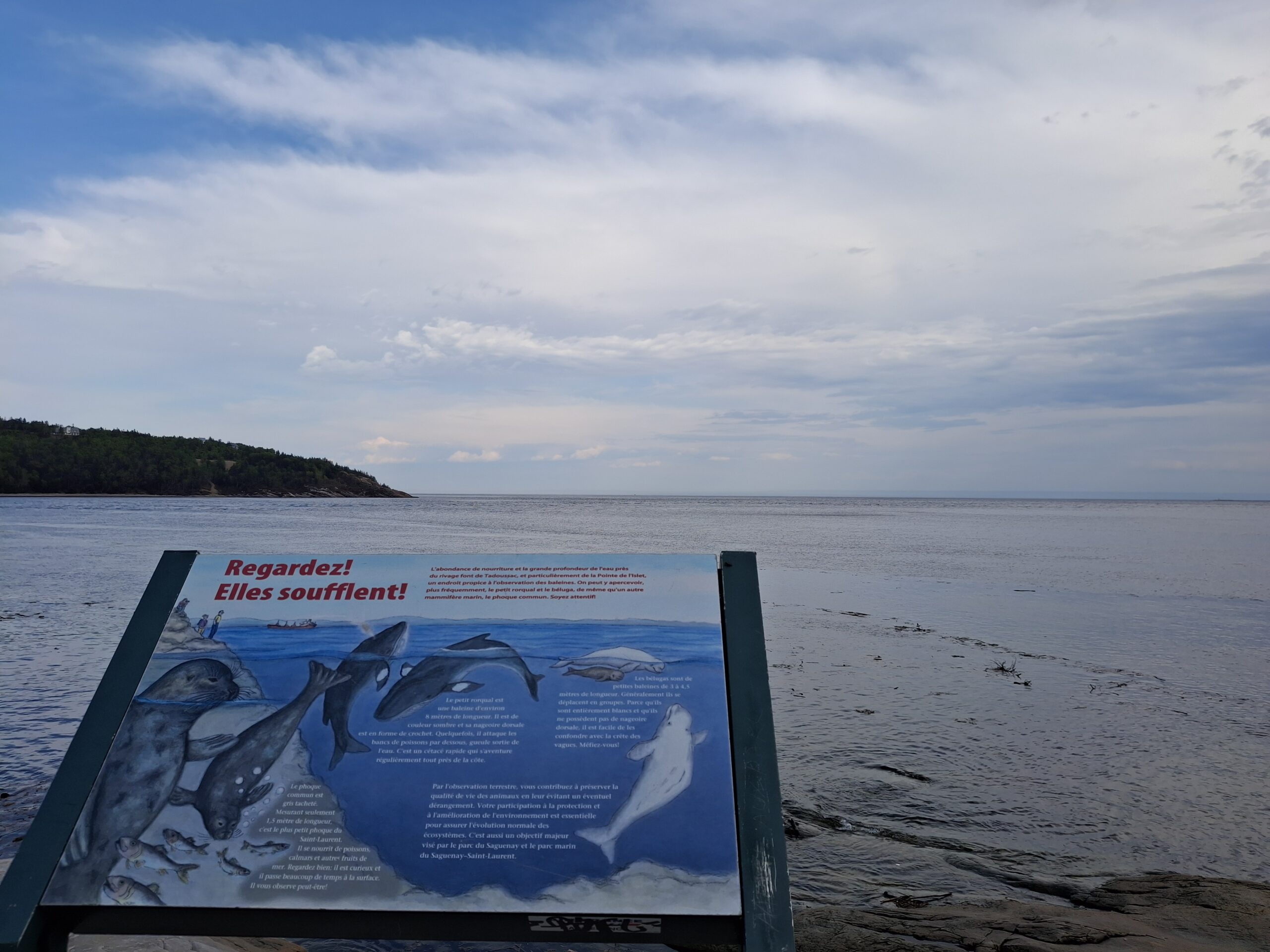 Tadoussac-0286